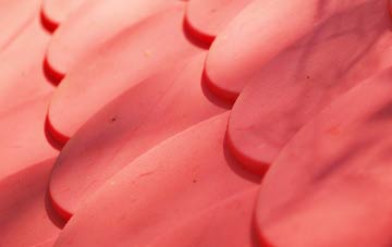 Isycoed plastic roof costs